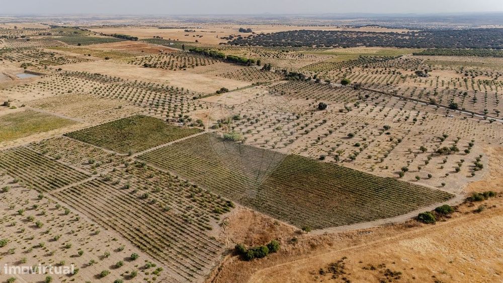 Terreno  para venda