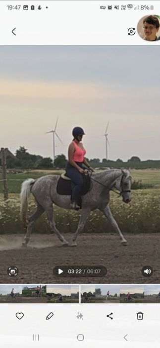 Klacz małopolska 2010 rocznik