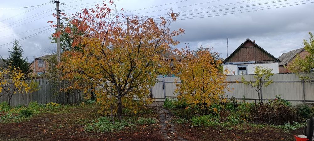 Будинок в мальовничому селі