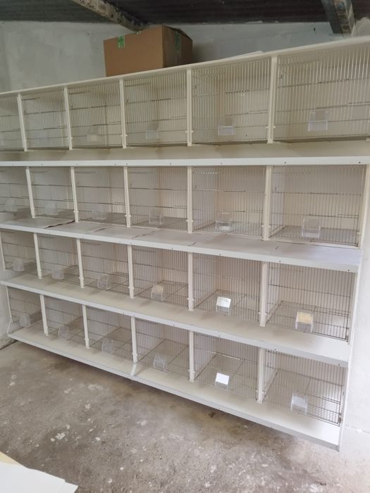 Viveiros para aves
