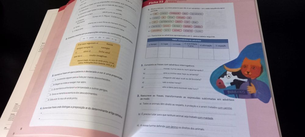 Caderno de atividades 6 ano