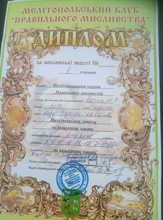 Продам робочого кобель  ЗСЛ.