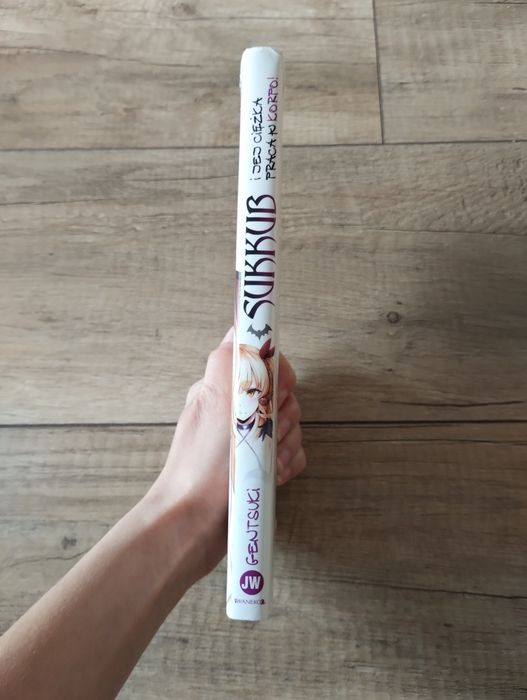 Manga Sukkub i Jej Ciężka Praca w Korpo Jednotomówka Waneko