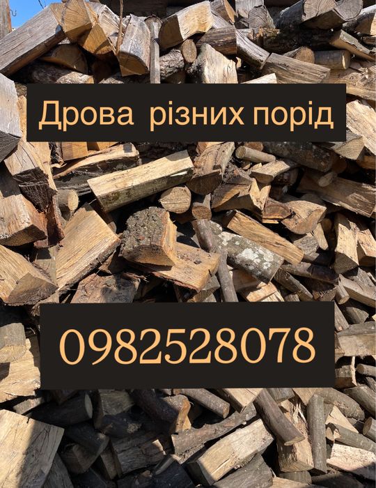 Продам дрова різних порід, дуб, граб, ясен, вільха, береза