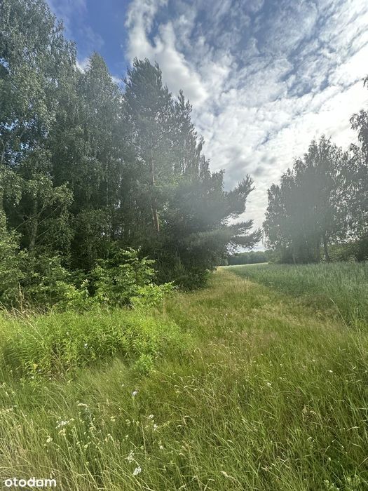 Działka Bełdów