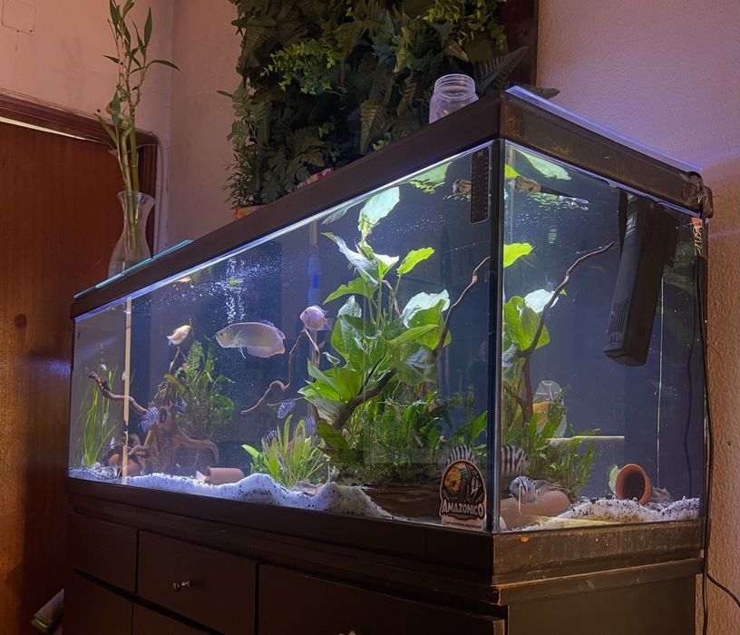 Aquario 150+50+40 com movel