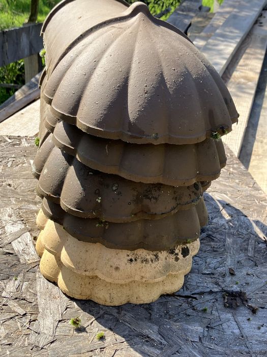 Patas de Leao + telhoes Carriça