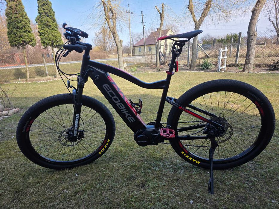 Rower elektryczny Eco Bike rx500