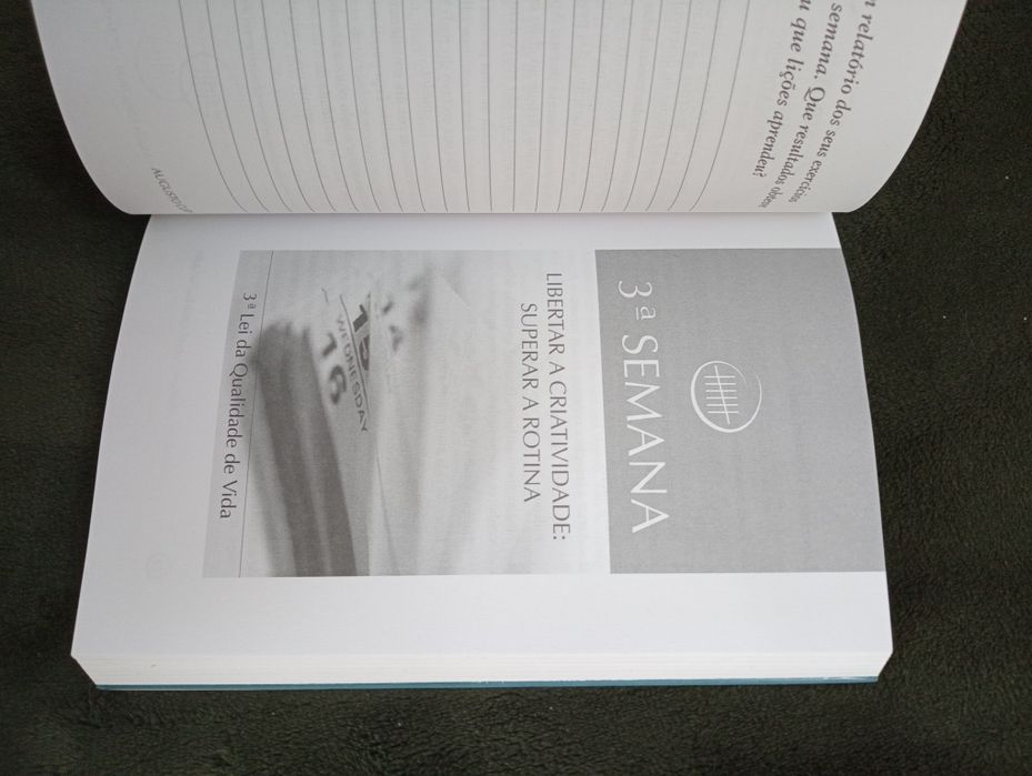 Doze Semanas para Mudar Uma Vida , de Augusto Cury - 2006
