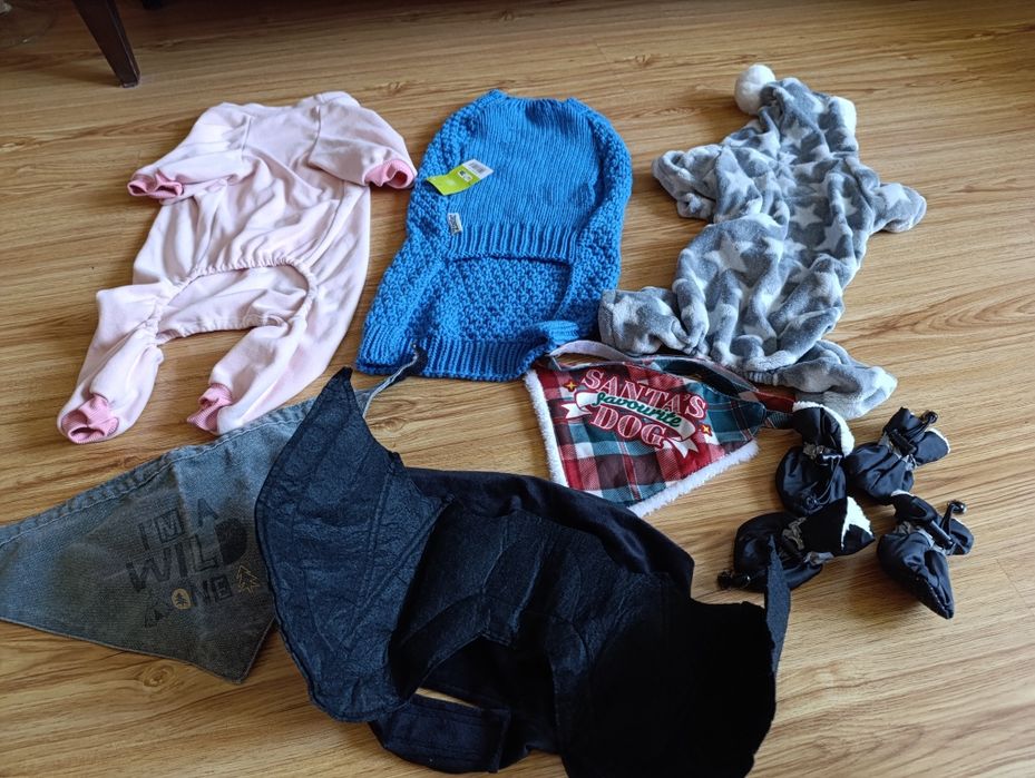 Одяг для собаки, лот