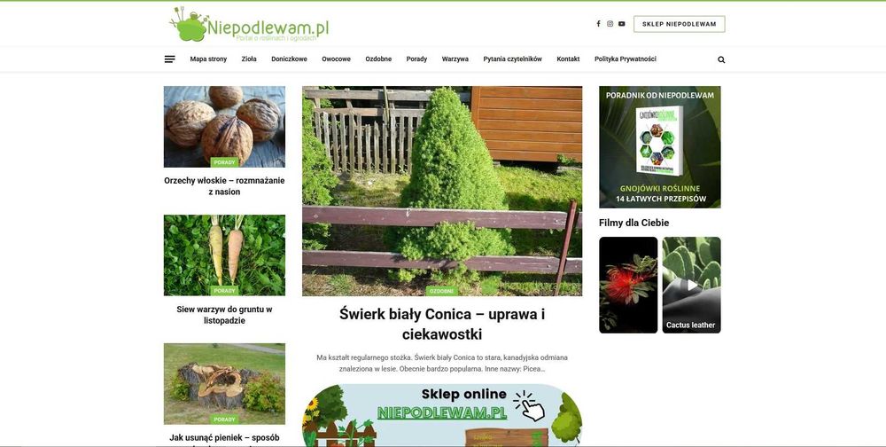 Sklepy internetowe i strony WWW dla firm – MostCode