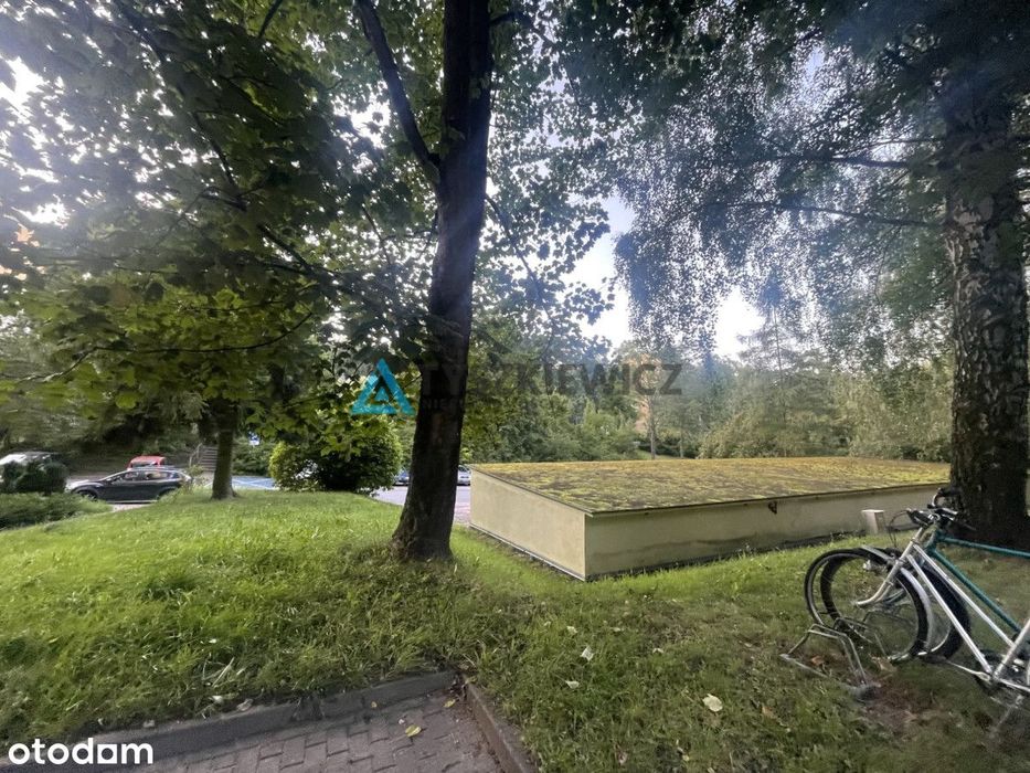 Zdjęcie 7