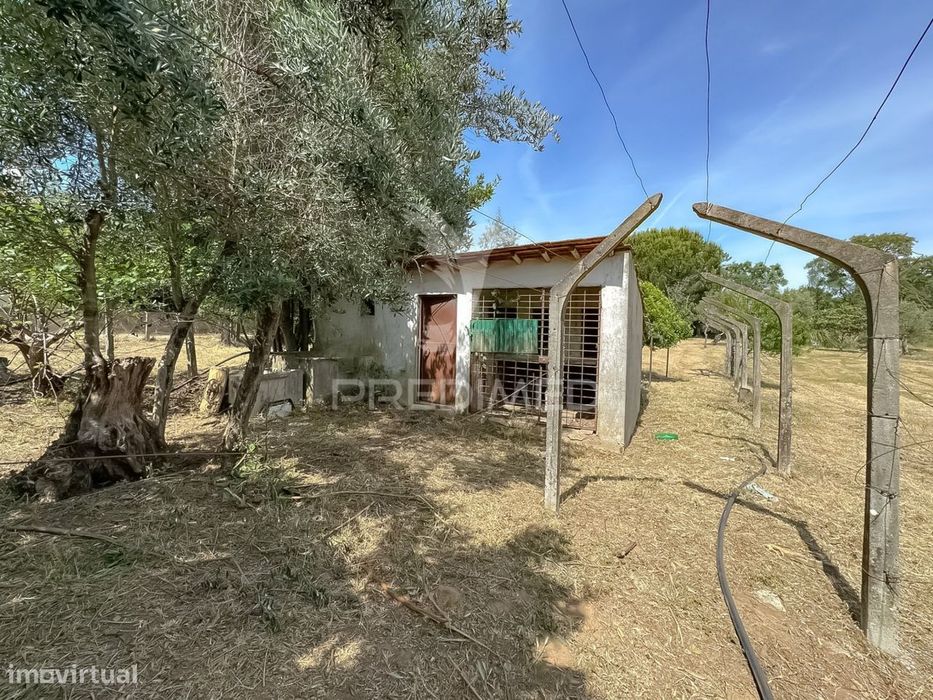 Moradia T3 Isolada - Bodegão - Tomar