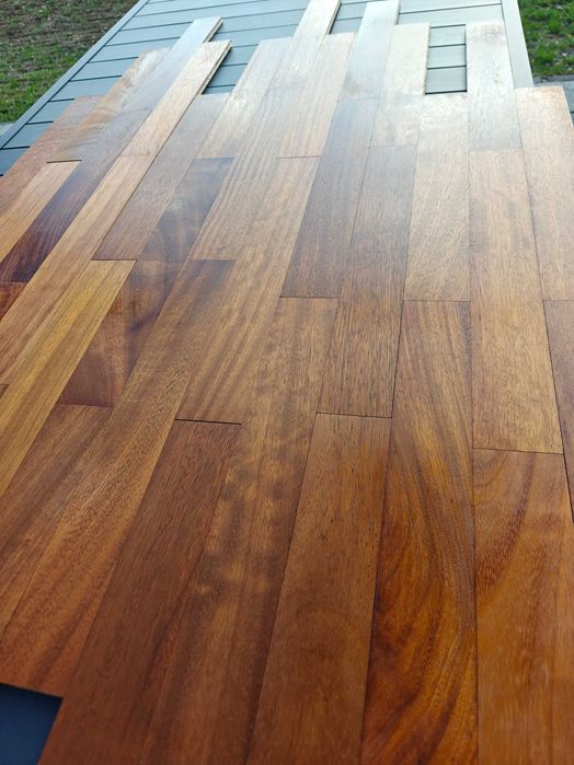 Parkiet Iroko egzotyk Okazja