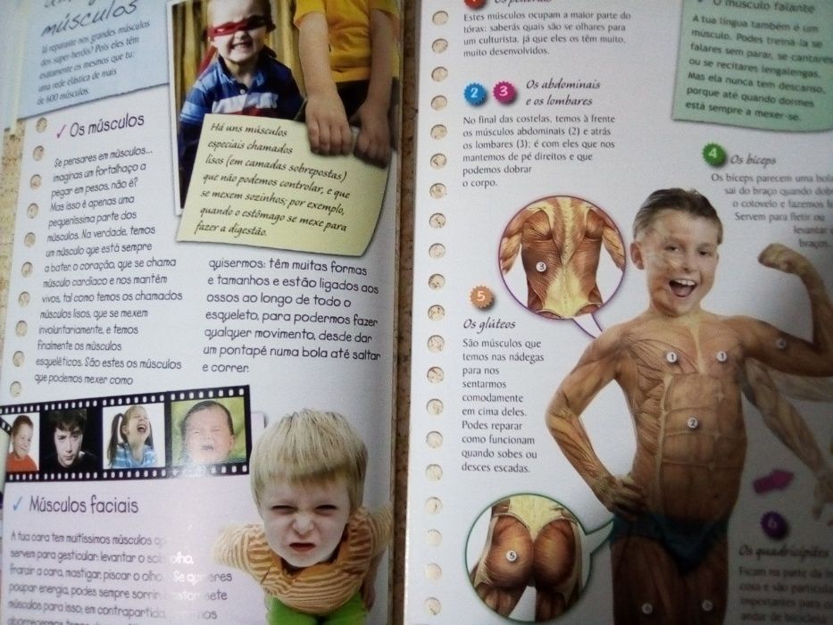 Corpo Humano - máquina perfeita