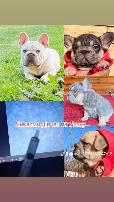 Запрошуємо на побачення Big rope