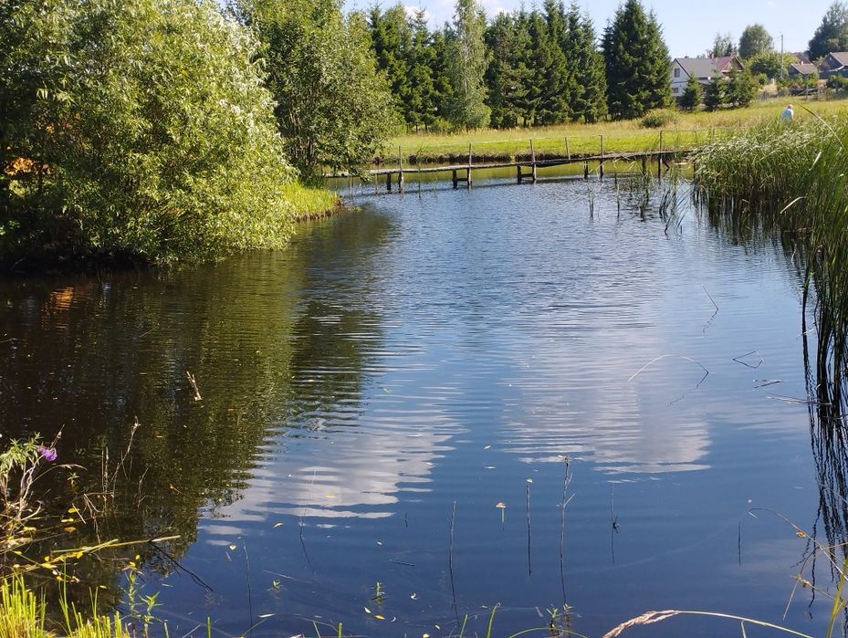 Domek nad stawami