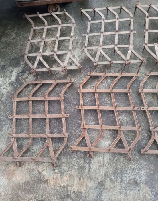 Продам Райбурінки