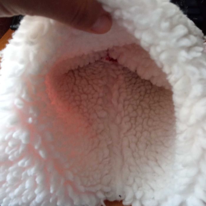 белая демисезонная шапка біла демі зимняя шапка зимова шарф-хомут снуд