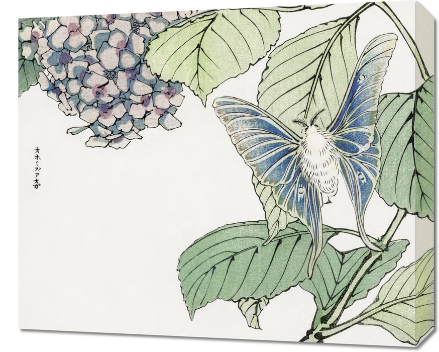 Obraz 60x50cm Ćma i Rośliny Morimoto Toko Japoński Vintage do Salonu