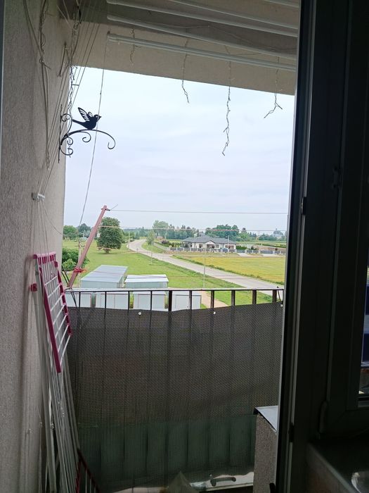 Zdjęcie 6