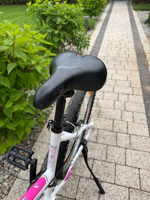 Rower młodzieżowy ALPINA eco lm10 biały z różowymi akcentami, 26-calowe koła