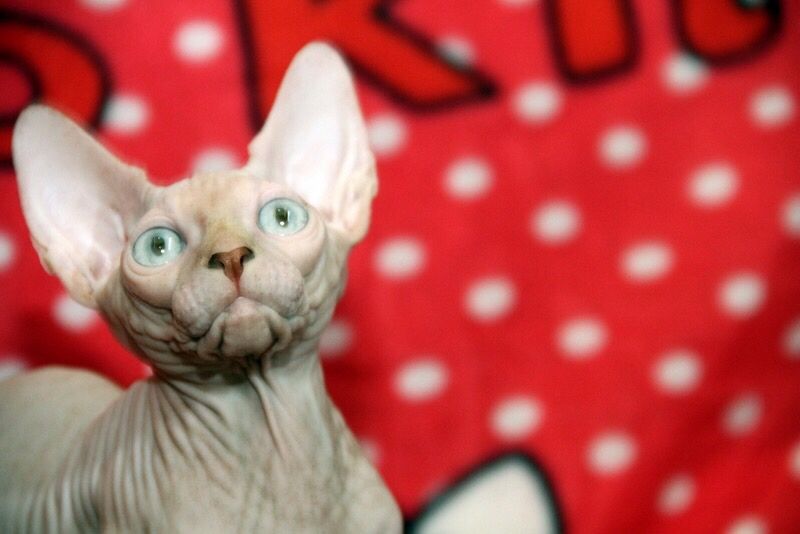 Супер красивые малыши