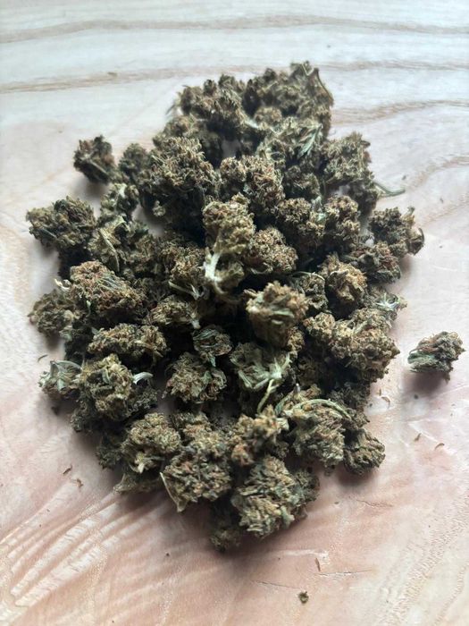 susz konopny CBD / Kwiaty CBD Premium – Cytrusowa Supernowa