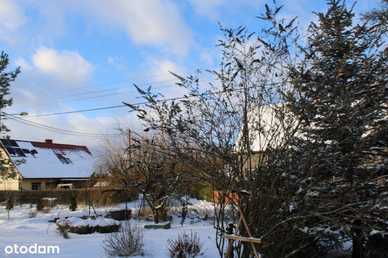 Syndyk sprzeda 1/12 udziału gospodarstwo rolne po obniżonej cenie - View 6