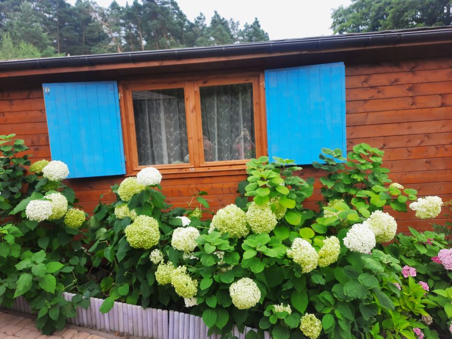 Domek letniskowy weekend II