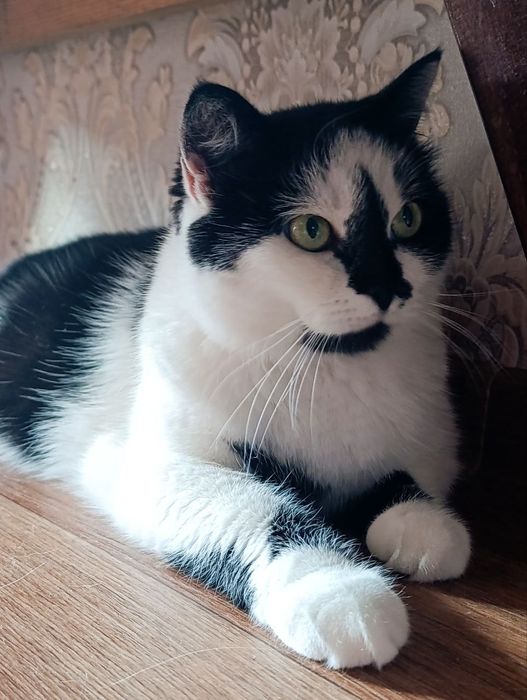 Пошук найкращих батьків