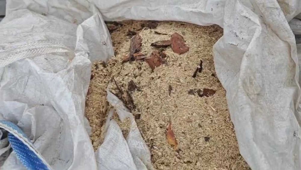 Опілки, стружка, насипом, або в мішки