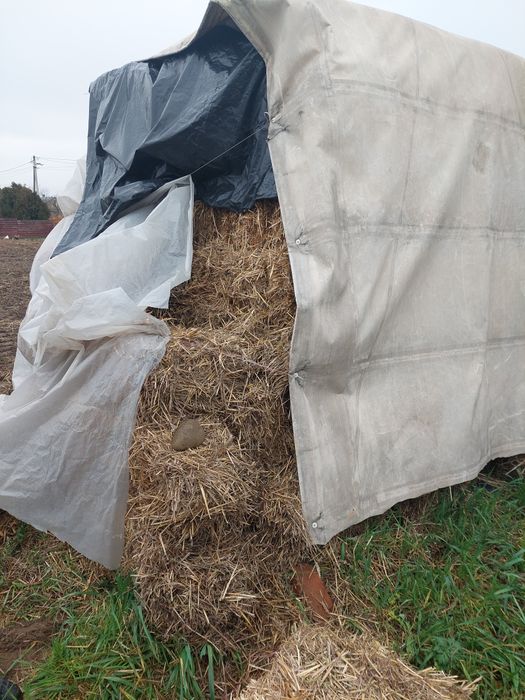 Продаються тюки соломи