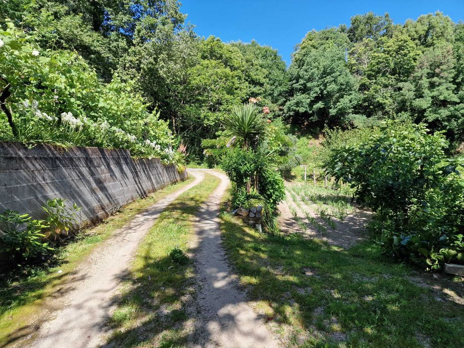 Quintinha com Árvores de fruto e Água