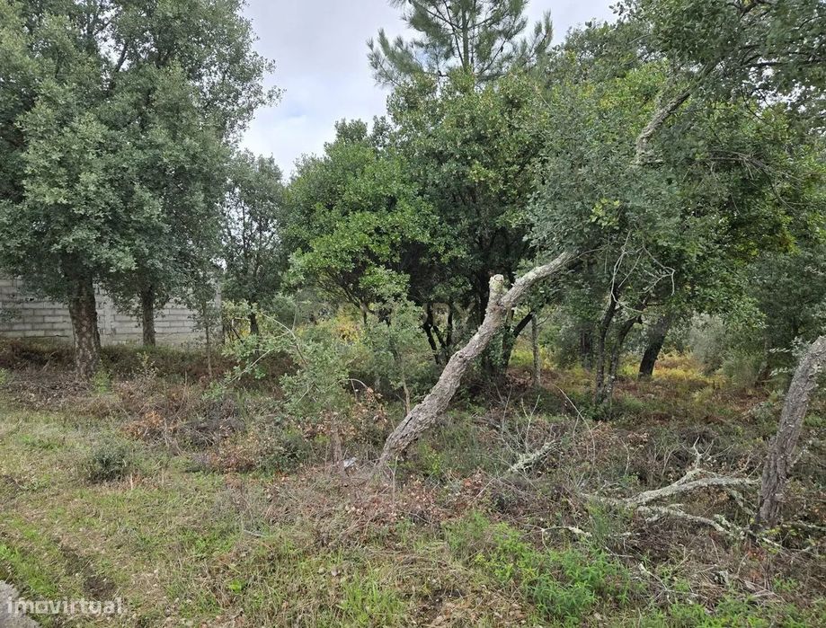 Terreno, Castelo — Castelo, Castelo Branco