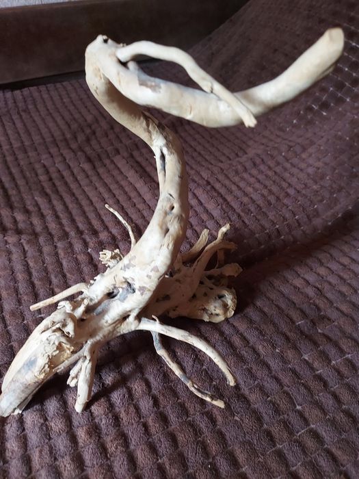 Все для аквариума, коряги ,грунт.