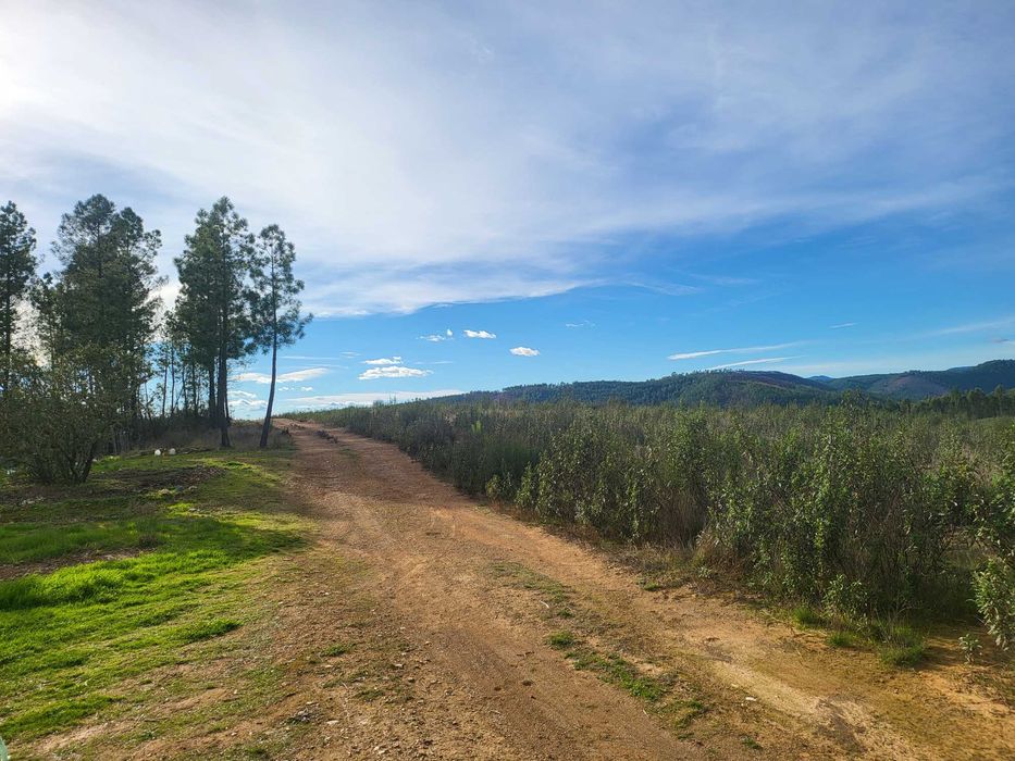 Refúgio Off-Grid 2.5ha com Ribeira e Autocaravana e solar