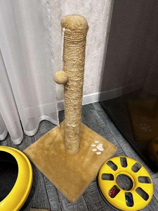 Набор для кота(когтеточки,игрушки,лоток)цена за все