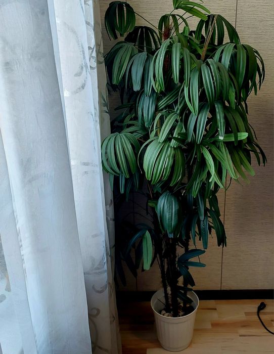 Продам 2 искусственных дерева