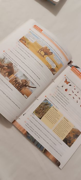 Livro fichas Ciências. 5 Ano. Terra à Vista
