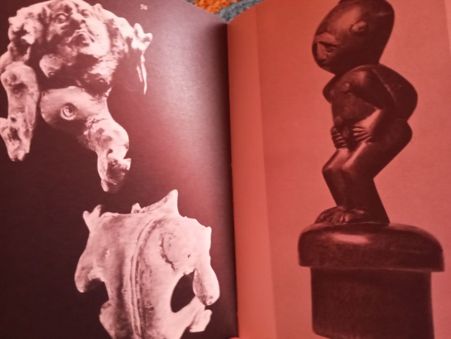 Calvin Wells - Ossos, corpos e doenças