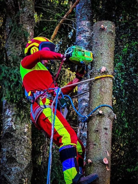 Спилить дерево, обрезка, удалить кронировать !