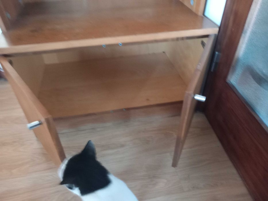 Estante com janela de vidro e armario de portas