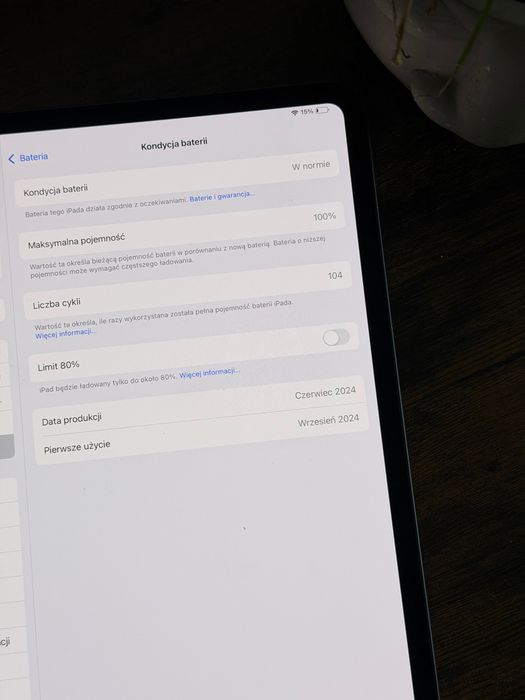 iPad Pro 13” M4 256 GB WiFi + Cellular 5G | 100% baterii
