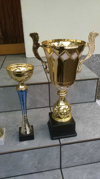 Puchary sportowe