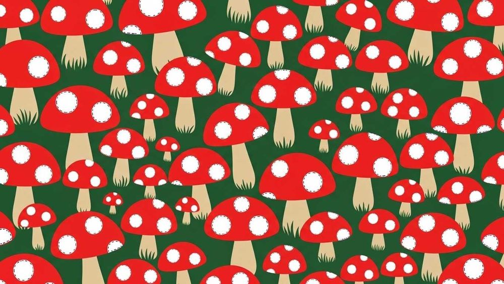 Módulo de repetição - Natureza | Module Repeated - Nature