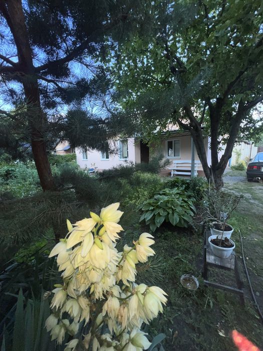 Продам 3 ком. квартиру на земле в Подгородном