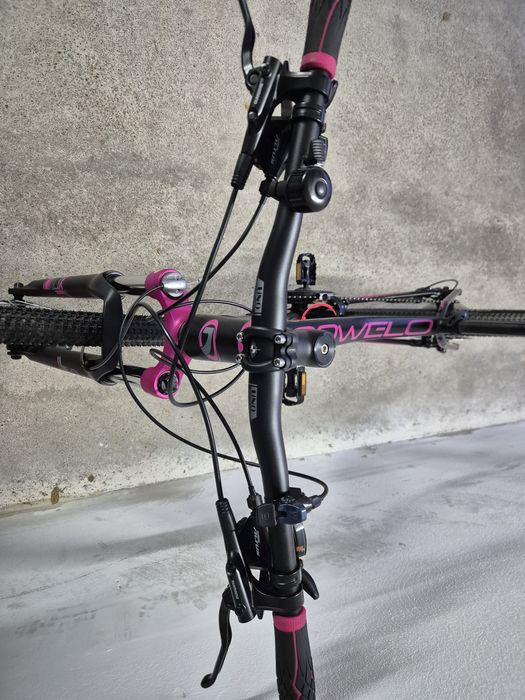 Rower Northtec Sovelo 29 rama 17cali