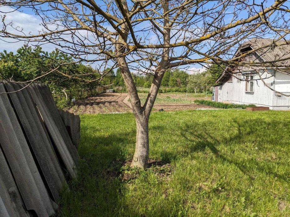 Продається ділянка з будинком в с.Лисець 19 сот. 60м2 (12)