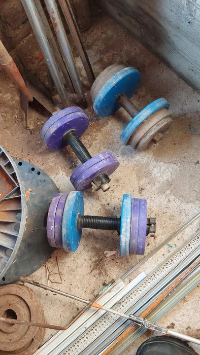 Штанга ,гриф ,гантели ,блини